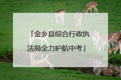 金乡县综合行政执法局全力护航中考