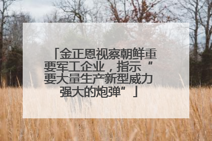 金正恩视察朝鲜重要军工企业，指示“要大量生产新型威力强大的炮弹”