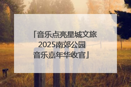 音乐点亮星城文旅 2025南郊公园音乐嘉年华收官
