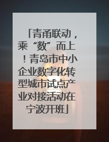 青甬联动，乘“数”而上！青岛市中小企业数字化转型城市试点产业对接活动在宁波开班