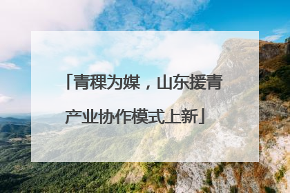 青稞为媒，山东援青产业协作模式上新