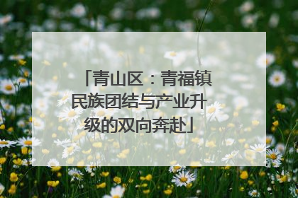 青山区：青福镇民族团结与产业升级的双向奔赴