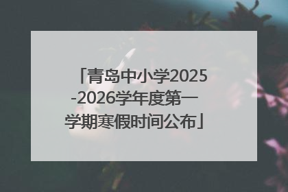 青岛中小学2025-2026学年度第一学期寒假时间公布