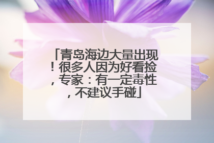 青岛海边大量出现！很多人因为好看捡，专家：有一定毒性，不建议手碰