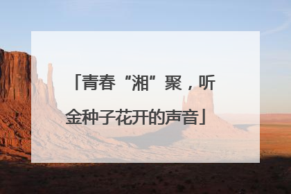 青春“湘”聚，听金种子花开的声音