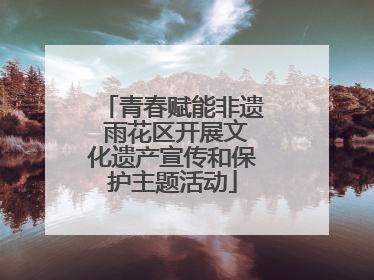 青春赋能非遗 雨花区开展文化遗产宣传和保护主题活动