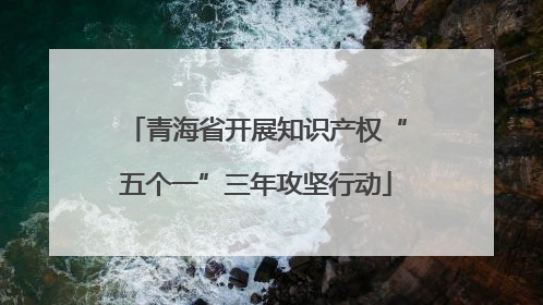 青海省开展知识产权“五个一”三年攻坚行动