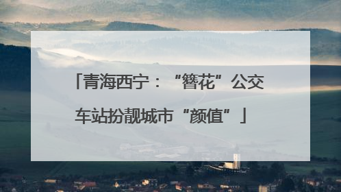 青海西宁：“簪花”公交车站扮靓城市“颜值”