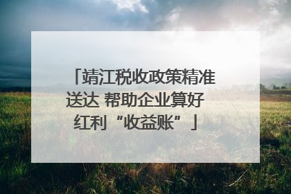 靖江税收政策精准送达 帮助企业算好红利“收益账”
