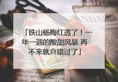 铁山杨梅红透了！一年一遇的酸甜风暴 再不来就真错过了