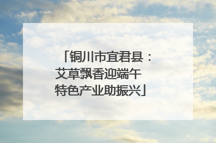铜川市宜君县：艾草飘香迎端午 特色产业助振兴