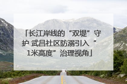 长江岸线的“双堤”守护 武昌社区防溺引入“1米高度”治理视角