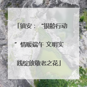 镇安：“银龄行动”情暖端午 文明实践绽放敬老之花