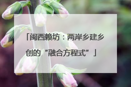 闽西赖坊：两岸乡建乡创的“融合方程式”