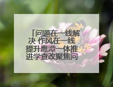 问题在一线解决 作风在一线提升鹰潭一体推进学查改聚焦问题解民忧