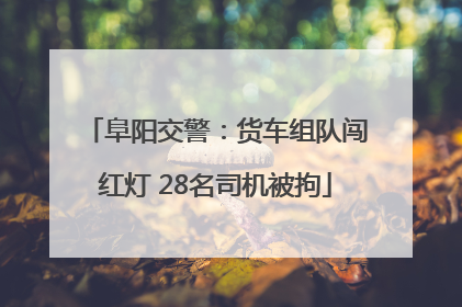 阜阳交警：货车组队闯红灯 28名司机被拘