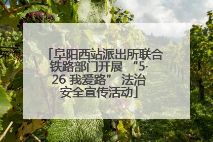 阜阳西站派出所联合铁路部门开展 “5·26 我爱路” 法治安全宣传活动