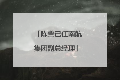 陈詟已任南航集团副总经理