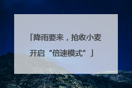 降雨要来，抢收小麦开启“倍速模式”