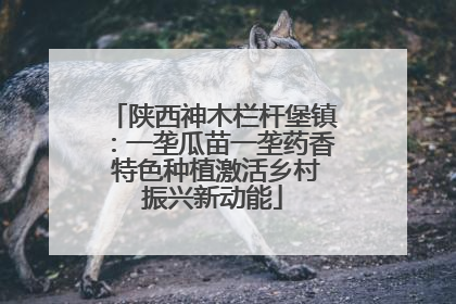 陕西神木栏杆堡镇：一垄瓜苗一垄药香 特色种植激活乡村振兴新动能