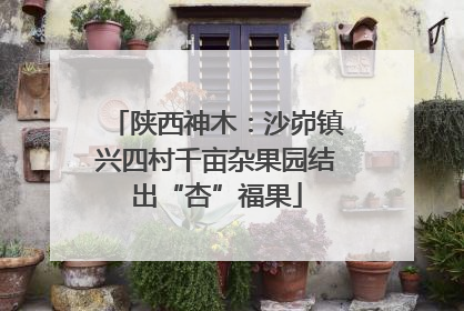 陕西神木：沙峁镇兴四村千亩杂果园结出“杏”福果