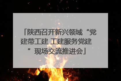 陕西召开新兴领域“党建带工建 工建服务党建”现场交流推进会