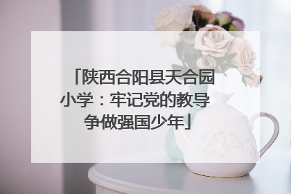 陕西合阳县天合园小学：牢记党的教导 争做强国少年
