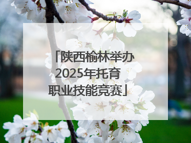 陕西榆林举办2025年托育职业技能竞赛