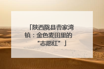 陕西陇县曹家湾镇：金色麦田里的“志愿红”
