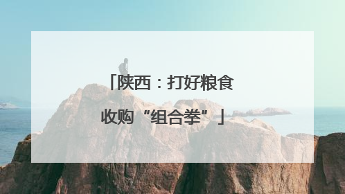 陕西：打好粮食收购“组合拳”