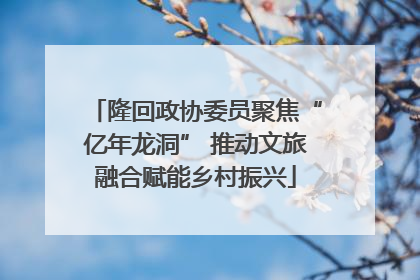隆回政协委员聚焦“亿年龙洞” 推动文旅融合赋能乡村振兴