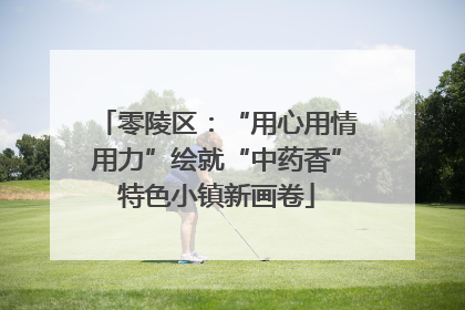 零陵区：“用心用情用力”绘就“中药香”特色小镇新画卷