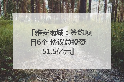 雅安雨城：签约项目6个 协议总投资51.5亿元