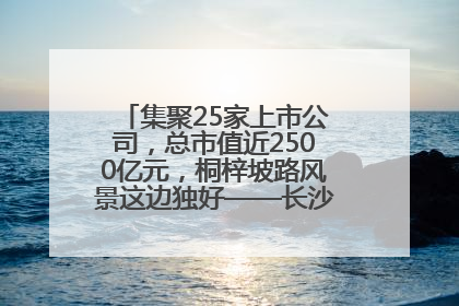 集聚25家上市公司，总市值近2500亿元，桐梓坡路风景这边独好——长沙有条“上市路”