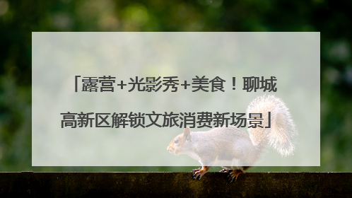 露营+光影秀+美食！聊城高新区解锁文旅消费新场景