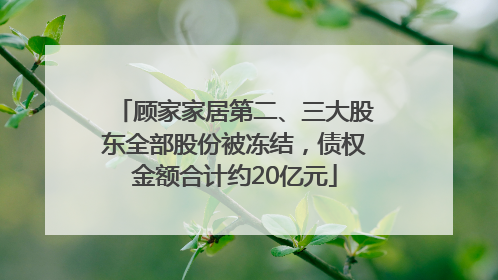 顾家家居第二、三大股东全部股份被冻结，债权金额合计约20亿元