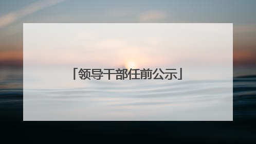 领导干部任前公示