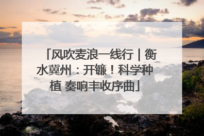 风吹麦浪一线行｜衡水冀州：开镰！科学种植 奏响丰收序曲