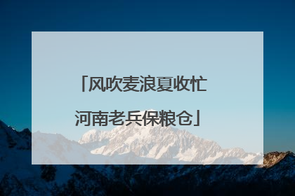 风吹麦浪夏收忙 河南老兵保粮仓