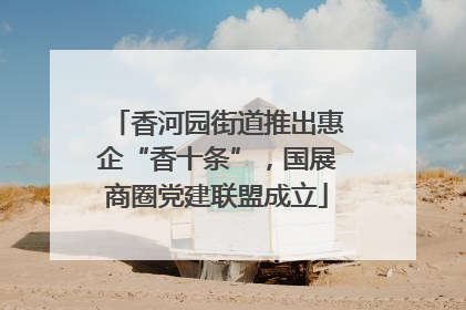 香河园街道推出惠企“香十条”，国展商圈党建联盟成立