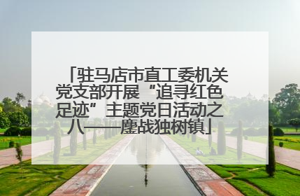 驻马店市直工委机关党支部开展“追寻红色足迹”主题党日活动之八——鏖战独树镇
