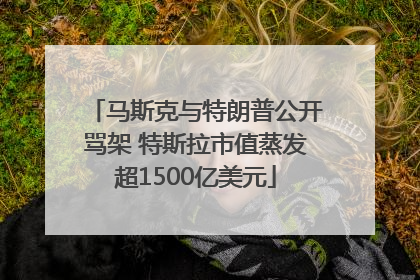 马斯克与特朗普公开骂架 特斯拉市值蒸发超1500亿美元