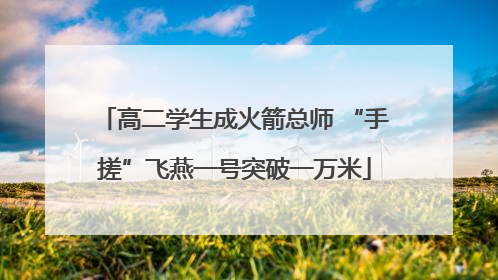高二学生成火箭总师 “手搓”飞燕一号突破一万米