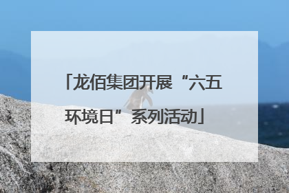 龙佰集团开展“六五环境日”系列活动