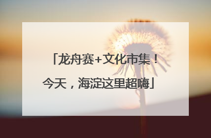 龙舟赛+文化市集！今天，海淀这里超嗨