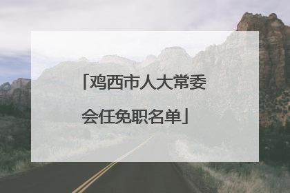 鸡西市人大常委会任免职名单