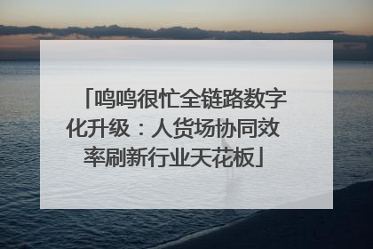 鸣鸣很忙全链路数字化升级：人货场协同效率刷新行业天花板
