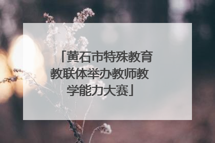 黄石市特殊教育教联体举办教师教学能力大赛