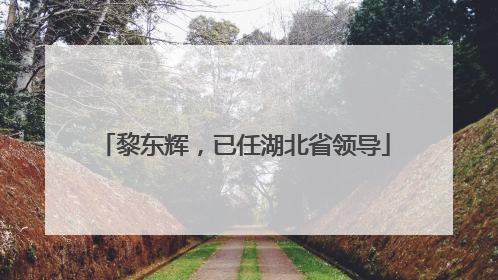 黎东辉，已任湖北省领导