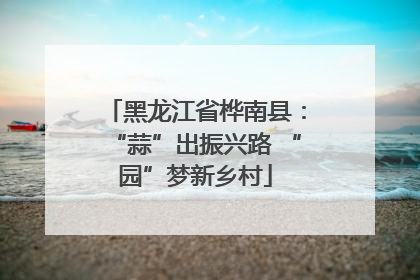 黑龙江省桦南县：“蒜”出振兴路 “园”梦新乡村